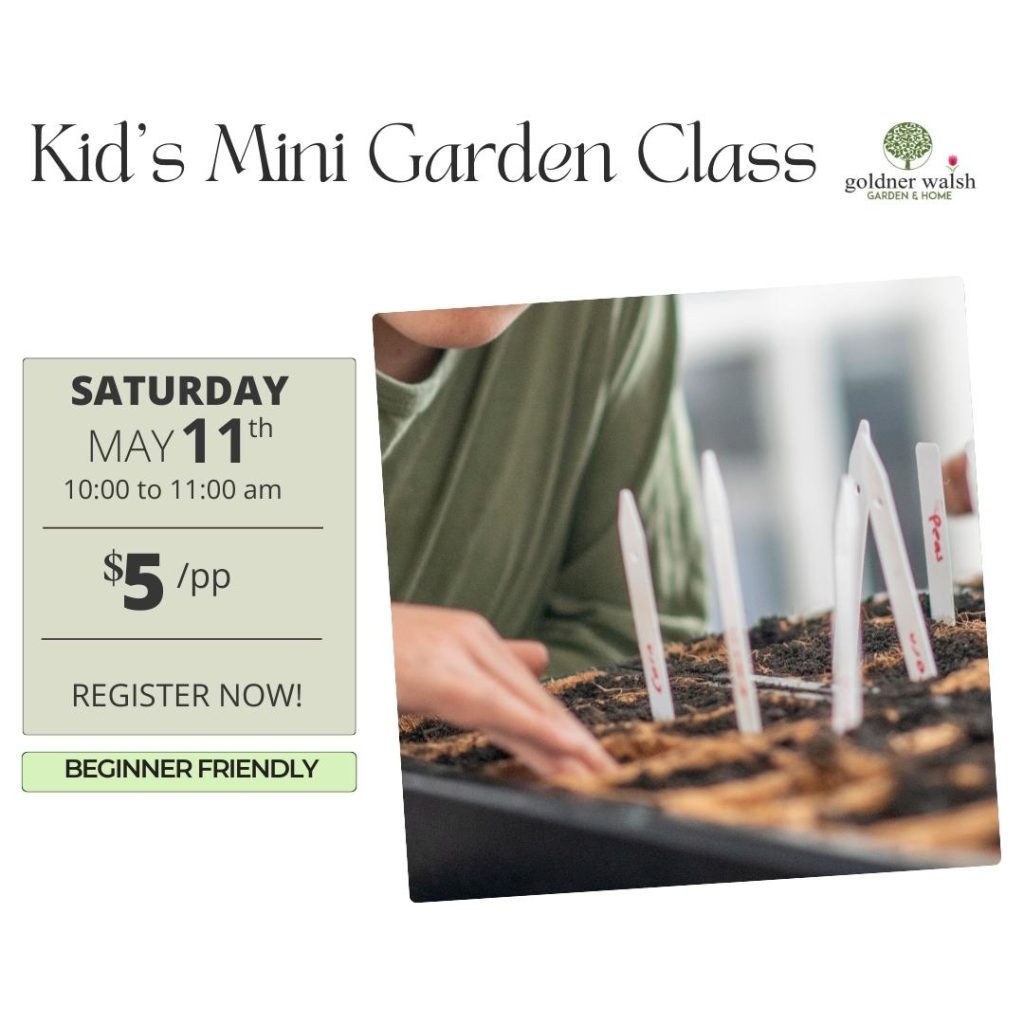 Kids Mini Garden Class