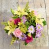 Lily Days - Image 2