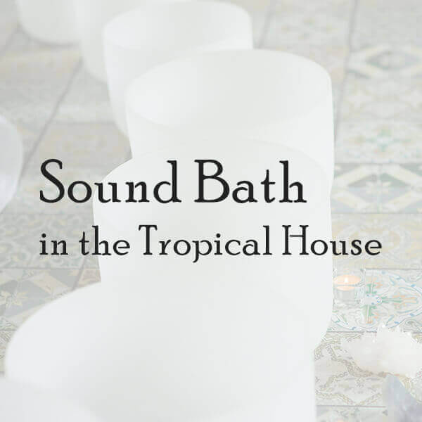 Sound Bath in the Tropical House