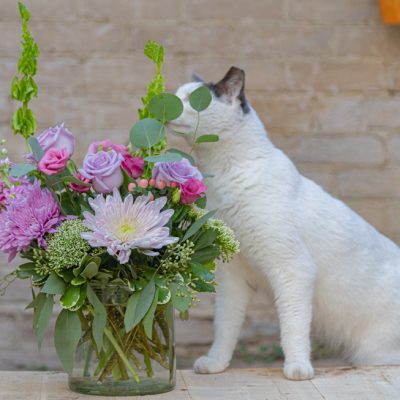 Flower Bouquets