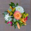 Dreams of Spring - Image 4