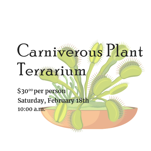Carnivorous Plant Terrarium Workshop