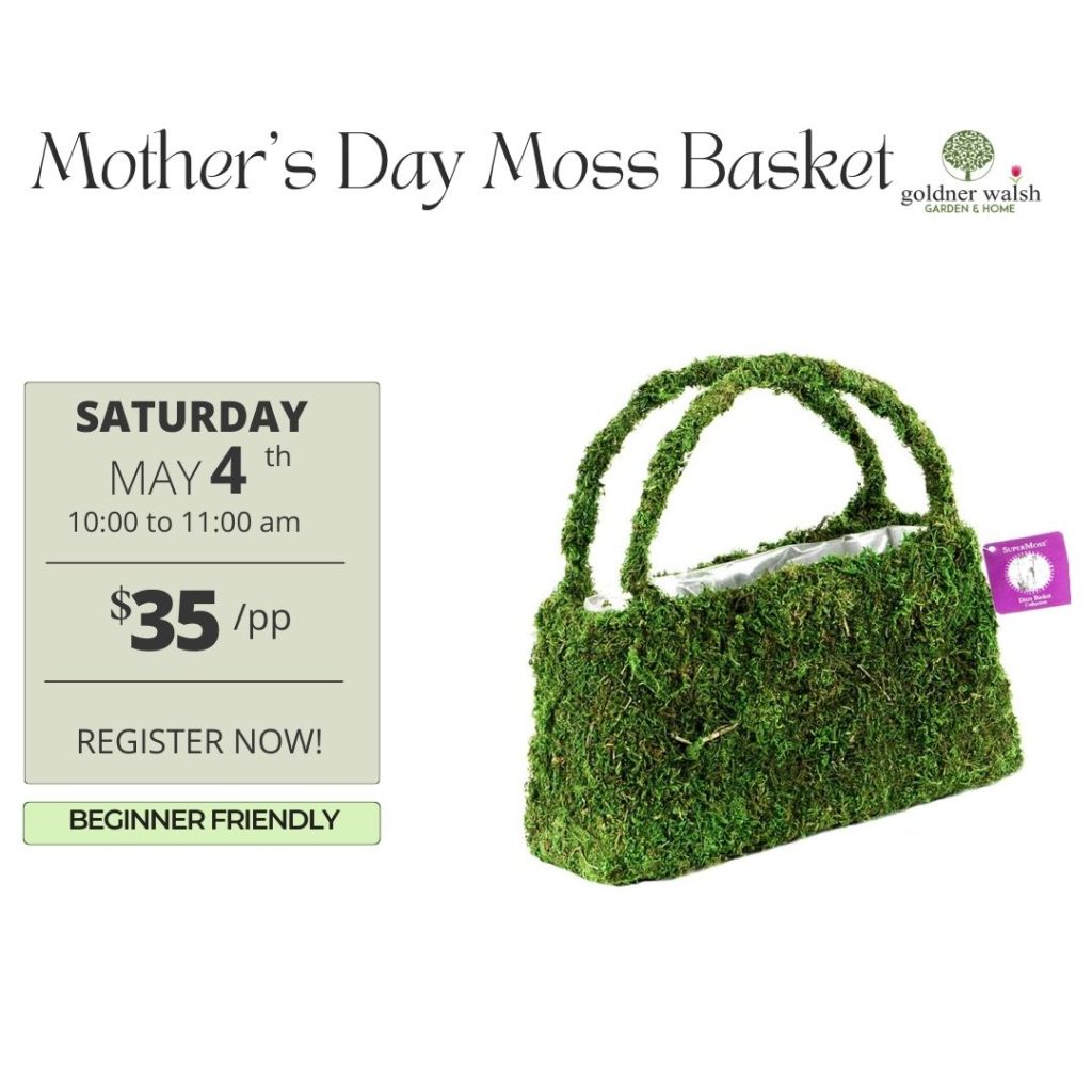 Mother’s Day Moss Basket