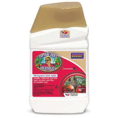 Cap Jack Dead Bug Brew Conc 32oz