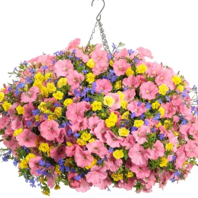 11" Bermuda Supertunia Hanging